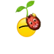 Lemon Guy