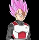 Vegeta Black