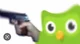 Duolingo Bird