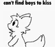 Boy kisser