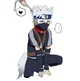 Kakashi Hatake Pet