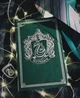 Slytherin Gang