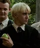 Draco Malfoy