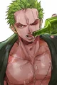 Zoro- bl