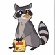Raccoon Thief
