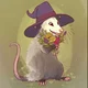 Opossum Wizard