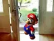 mario from msyl