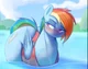 Rainbow Dash
