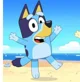 Bluey