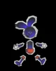 Clone riggy