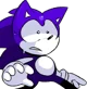 Pace the Hedgehog