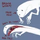 Bridge Worm