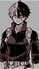 Shoto Todoroki 