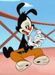 Yakko Warner