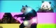 Panda from jjk