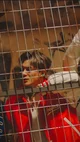 Jeno