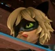 Cat Noir 