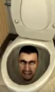 Skibibi Toilet