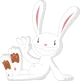Max the bunny 