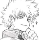 Katsuki bakugou-ex