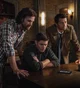 Team Free Will