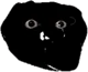 F2yhwuhish