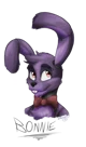 Bonnie The Bunny