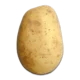 Potato