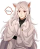 bsd Shibusawa Cat 