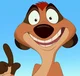 Timon