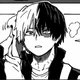 Shoto Todoroki 