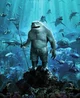 King Shark