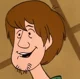 Shaggy