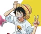 Roomate Luffy