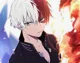 Shoto Todoroki