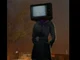 TVWOMAN