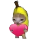 Banana cat