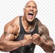 The rock