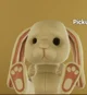 The tiny rabbit