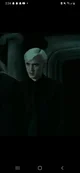 Draco malfoy 
