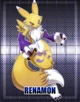 Renamon