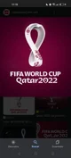 Mundial 2022