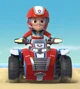 Ryder Paw patrol 