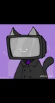 TV Man-cat