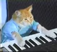 Keyboard Cat