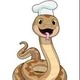 Snake Chef