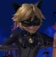 Adrien chat noir