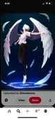 Angel Zane 