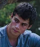 Thomas Maze Runner 