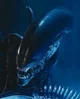 Xenomorph